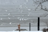 New York, Foto: Mike Segar/REUTERS