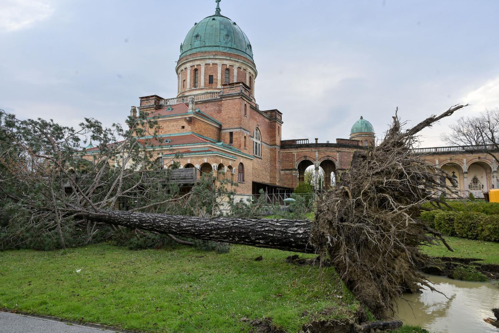 pxl 270326 149135556 20260328161956