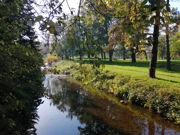 Mjesni park u Voćinu, Foto: Tomislav Šikić/-