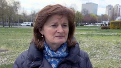Anica Prašnjak