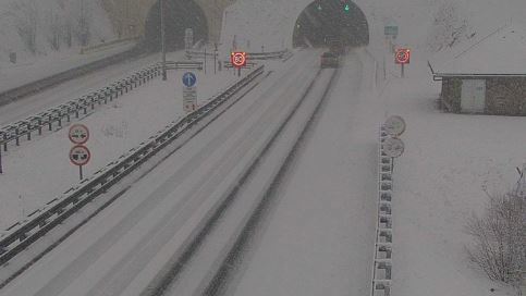 vrsek1231 20260220070955