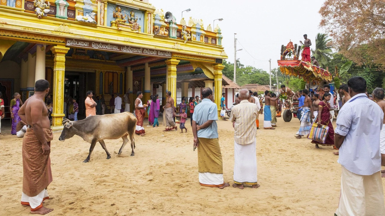 Subota, 1. studenog na Drugom, Foto: Anthony Bourdain - Upoznavanje nepoznatog/dokumentarna serija