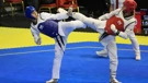 Taekwondo