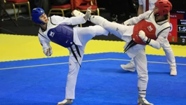 Taekwondo