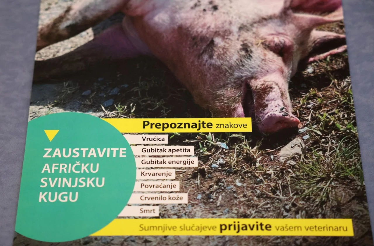 letak, Foto: OBŽ/-