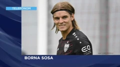 Borna Sosa