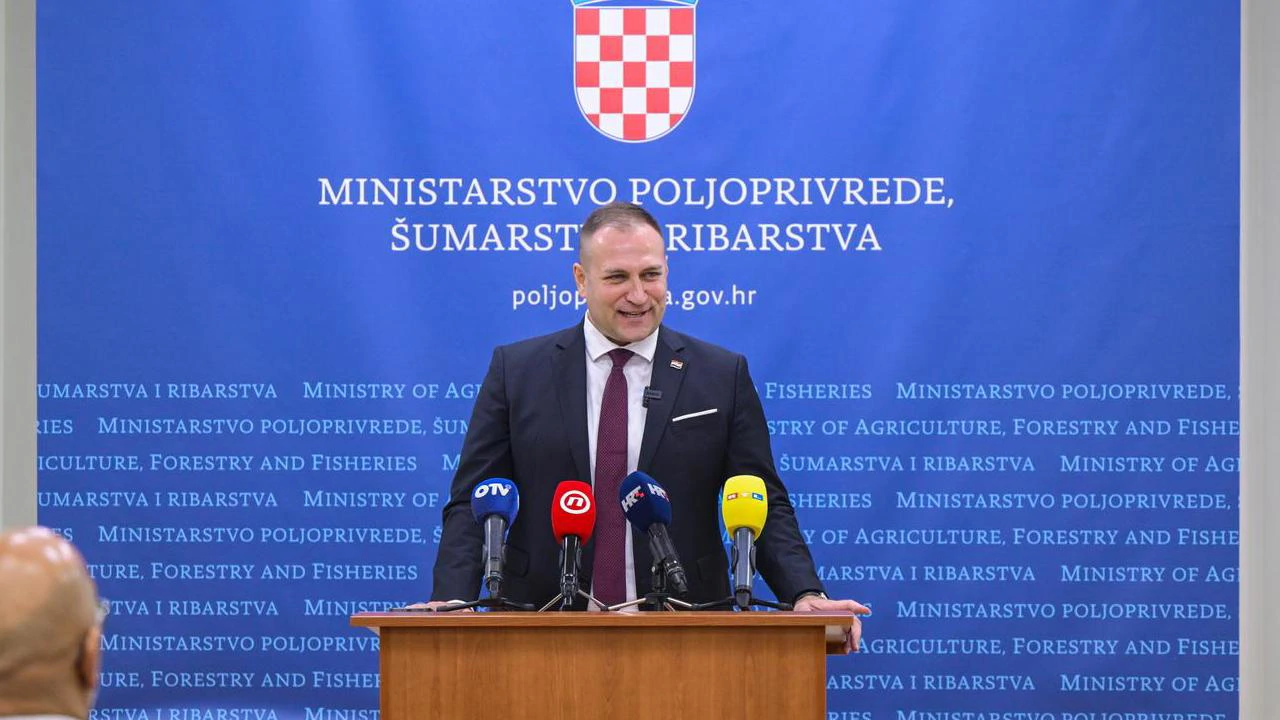 David Vlajčić