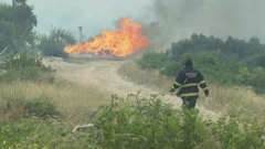 Požar kod Grebaštice, Foto: HTV/HRT