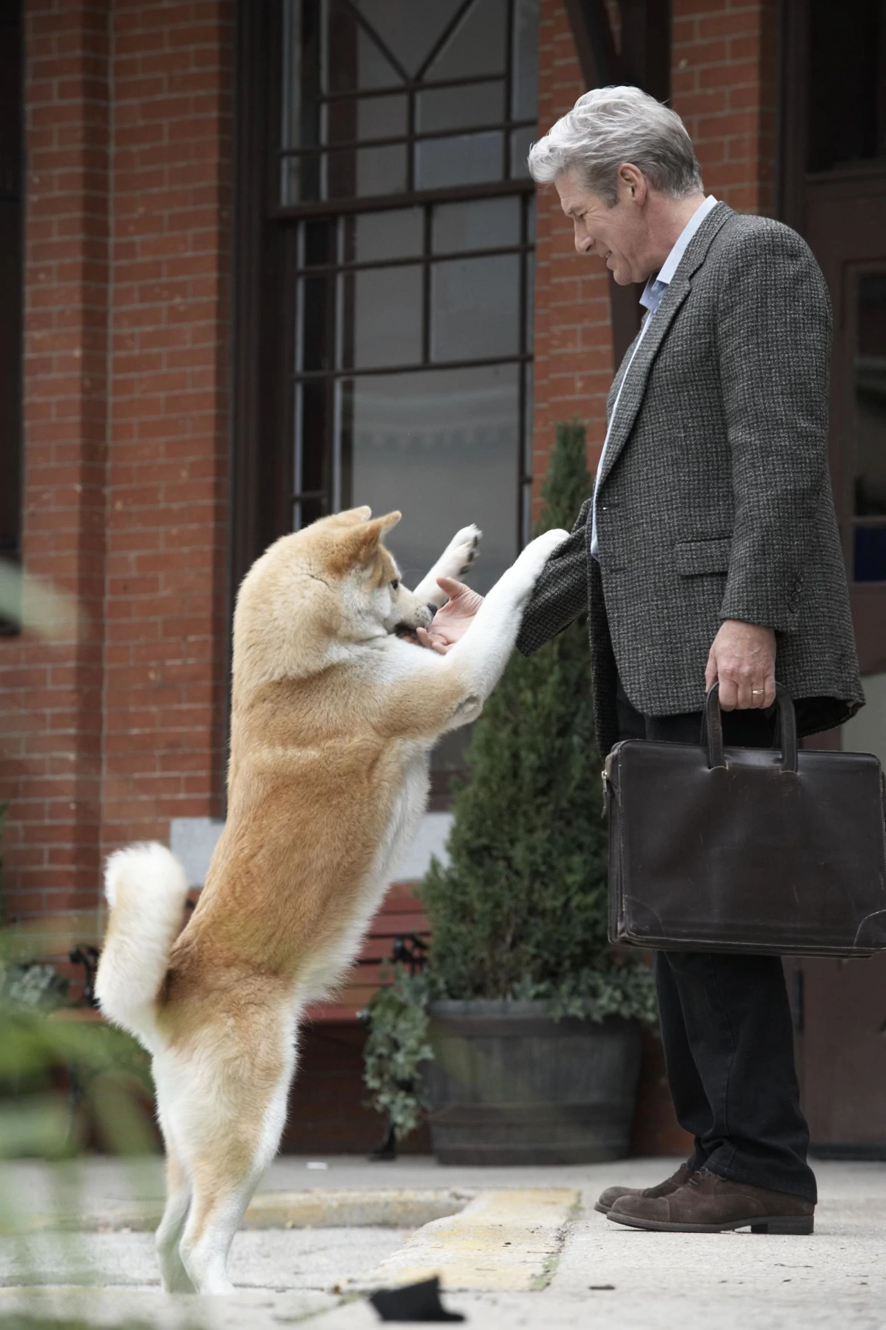 Petak, 27. prosinca na Prvom , Foto: Hachiko, priča o psu/film 