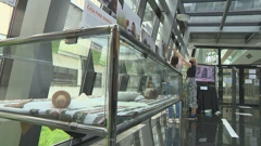 "Pazi što jedeš Laboratorij" - studentski edukativni projekt