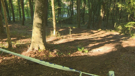 WWII mass grave near Novi Marof