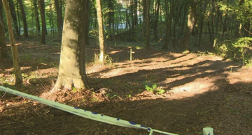 WWII mass grave near Novi Marof