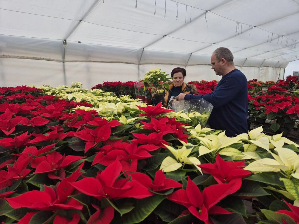 Slavica i Željko Lucić iz Domaljevca