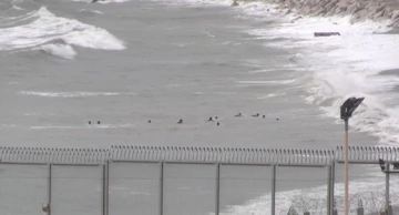 Migranti preplivali iz Maroka u španjolsku enklavu Ceutu