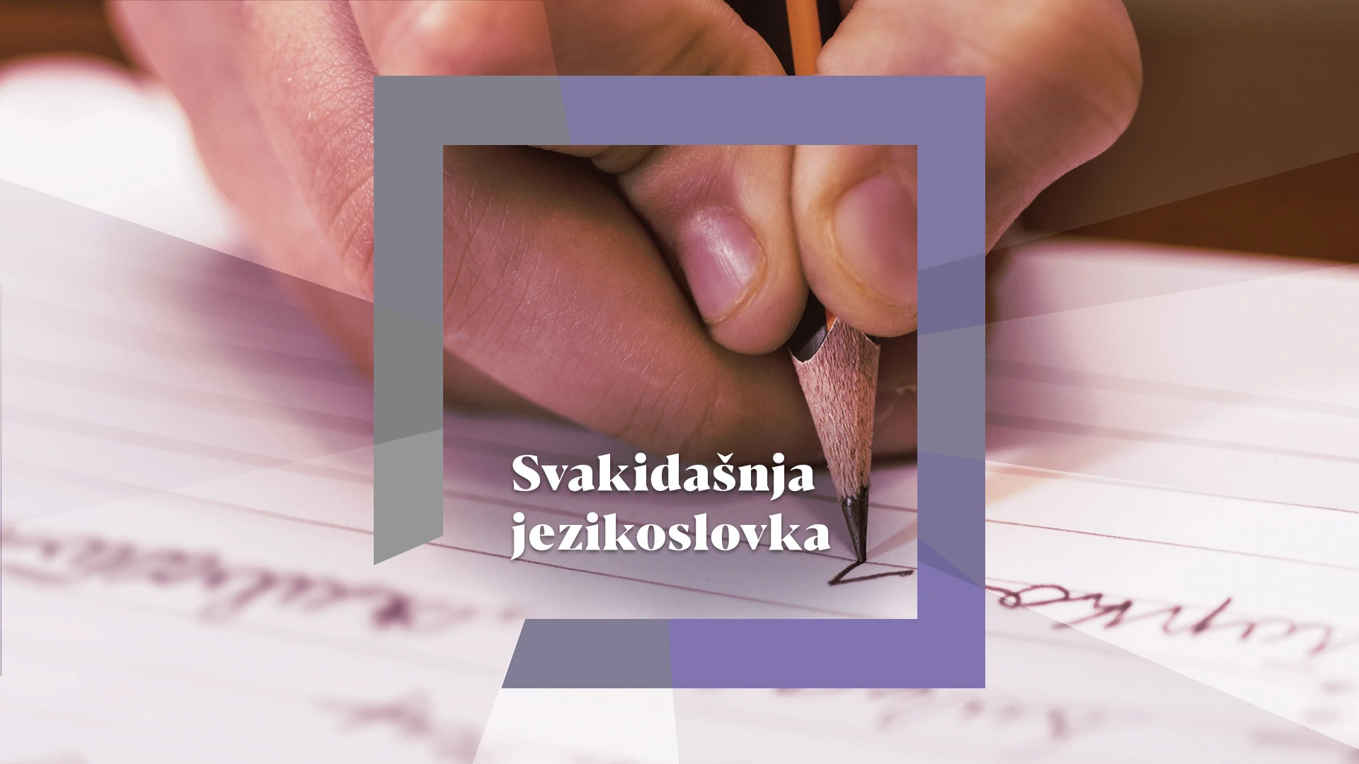 Svakidašnja jezikoslovka