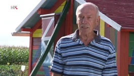 Božo Odak
