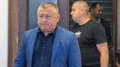 Damir Dekanić 