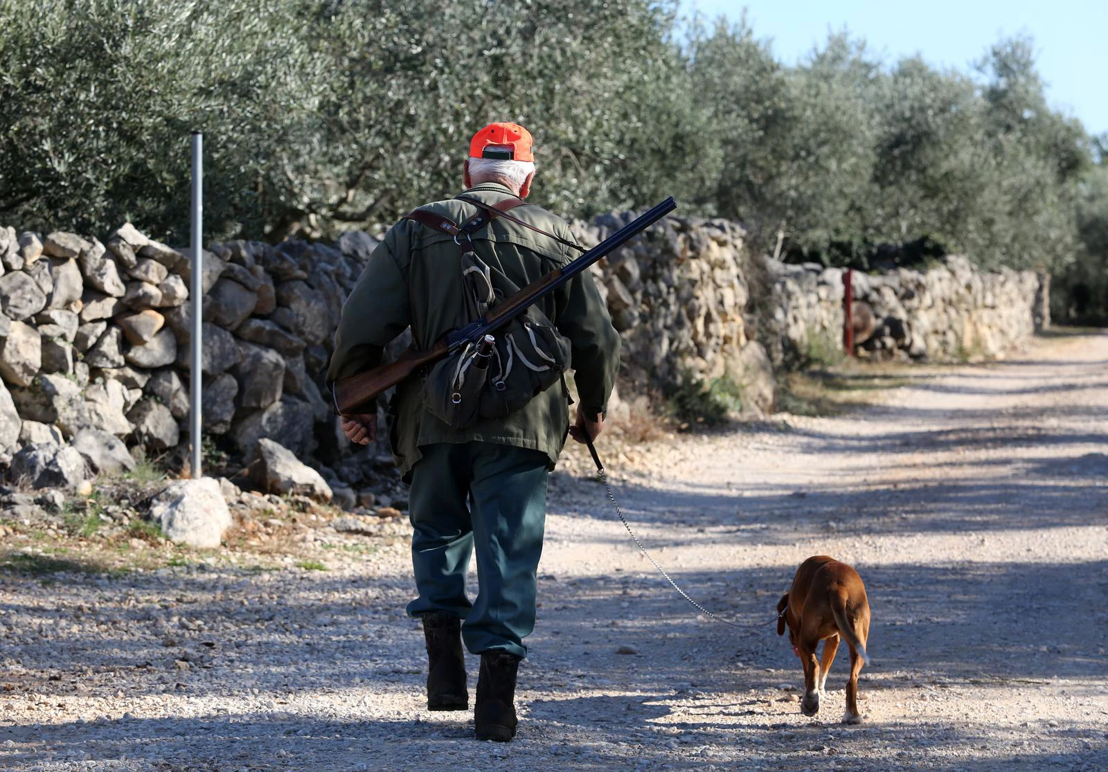 Revizija u Lovačkom savezu: Nemar, dodatna zapošljavanja, naknade