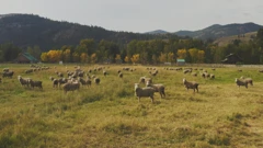Četvrtak, 21. svibnja na Drugom, Foto: Zemljovidi moći/dokumentarna serija