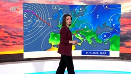 Tomislava Hojsak