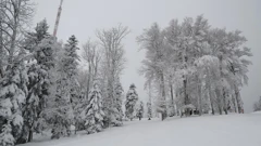 Sljeme, Foto: Marko Prpic/Pixsell
