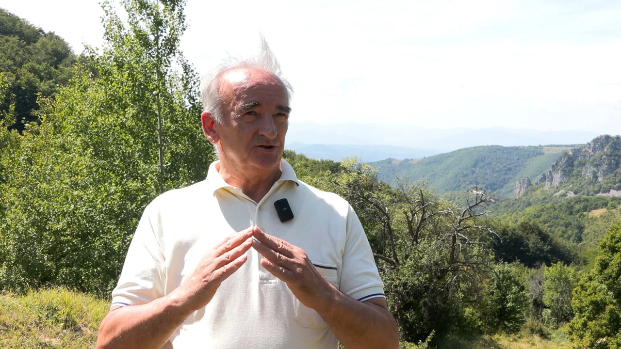Prof. Perica Mijatović