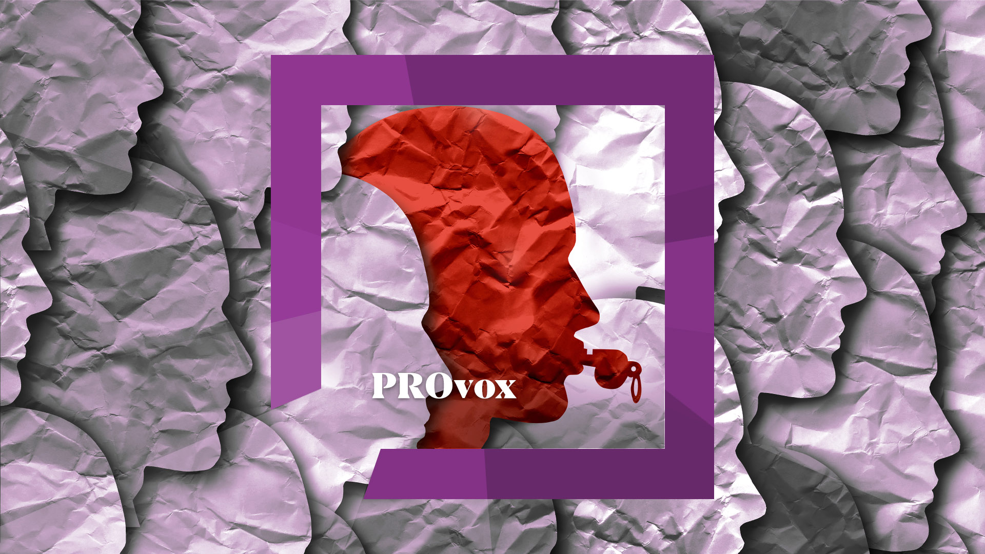 PROvox