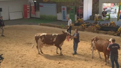 Jesenski sajam u Gudovcu 
