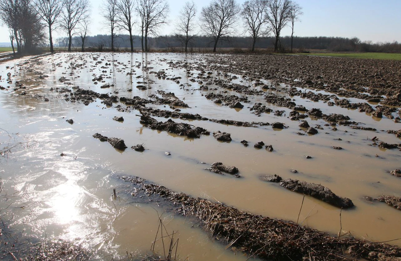 Obilne kiše uništile su oranice i livade