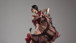 FLAMENCO EN VIVO! FEAT. LORCA, FLAMENCO & TAMBURA, Sara Martin