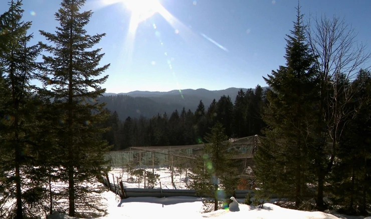 Gorski kotar, dom tetrijeba