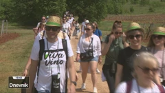 U Istri spojili šetnju s degustacijom lokalnih vina i delicija