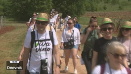 U Istri spojili šetnju s degustacijom lokalnih vina i delicija