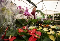 Otvoren Floraart, Foto: Boris Scitar/PIXSELL