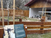 ., Foto: HRT Radio Osijek/HRT Radio Osijek