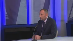 Dalibor Paus