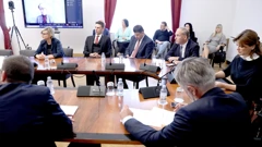Odbor za Ustav