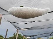 Nevrijeme pogodilo Međimurje, Foto: Snježana Mesarić/-