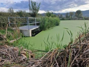 II. biološki dio procesa - odvaja se sediment. III. kemijskim procesima voda se dodatno pročišćava te naposljetku ispušta u jezero (vidi VIDEO ispod), Foto: Braslav Bradić/HRT