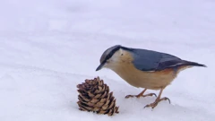Subota, 2. listopada na Drugom 